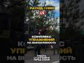 Комплекс упражнений на выносливость/#boxingdrill #viral #motivationalshorts #Soviet #boxingstyle