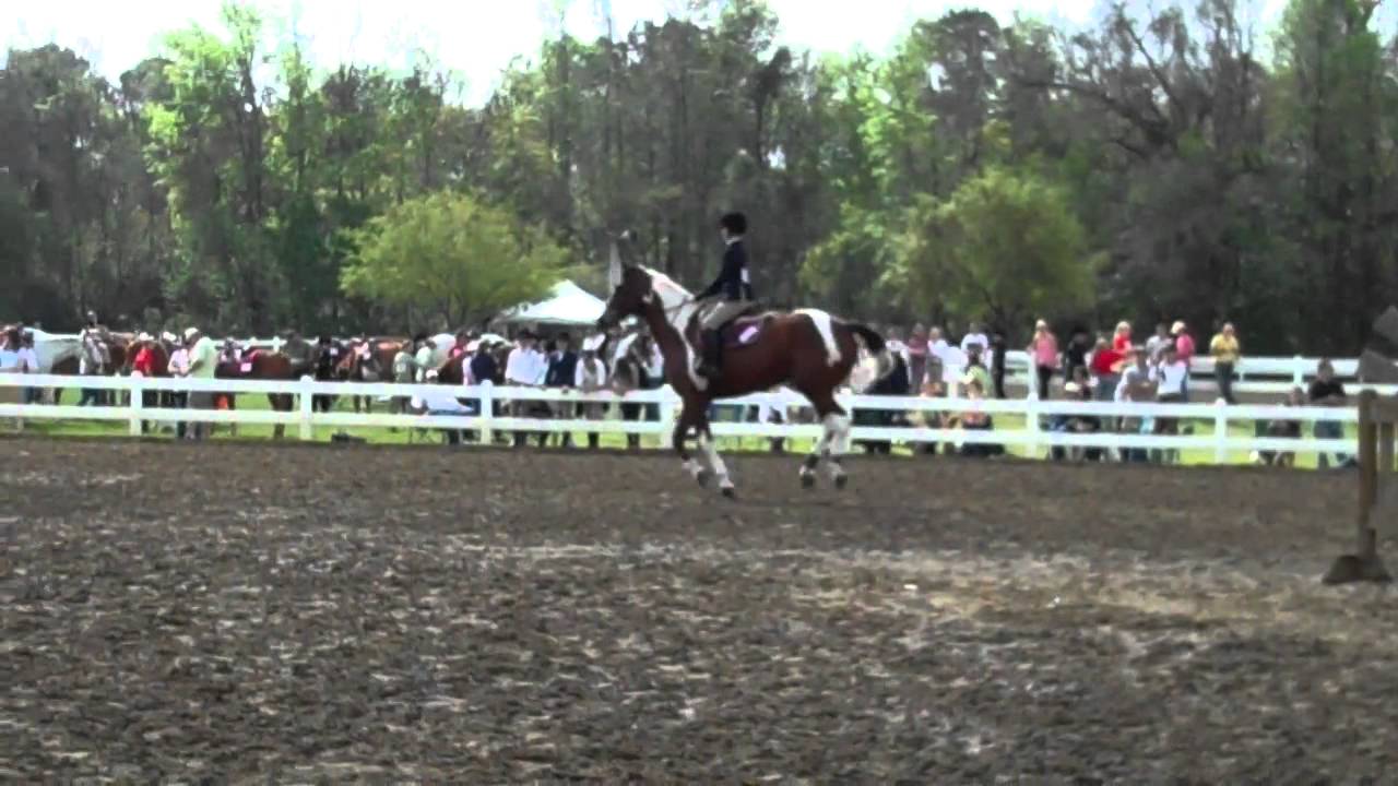 IEA Zone 4 Finals YouTube Iea zone 4 finals youtube