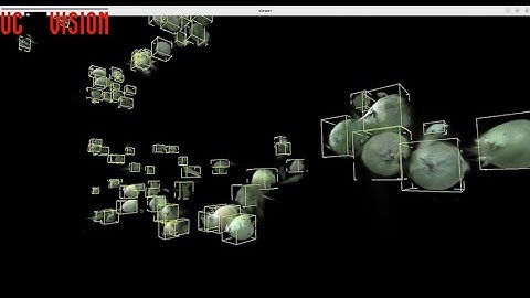 3D modelling of apple trees