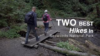 Fern Canyon and Trillium Falls | Redwoods National Park by The Hungry Cuban Adventures 264 views 1 year ago 7 minutes, 37 seconds