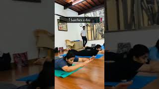 Daily Yoga Classes