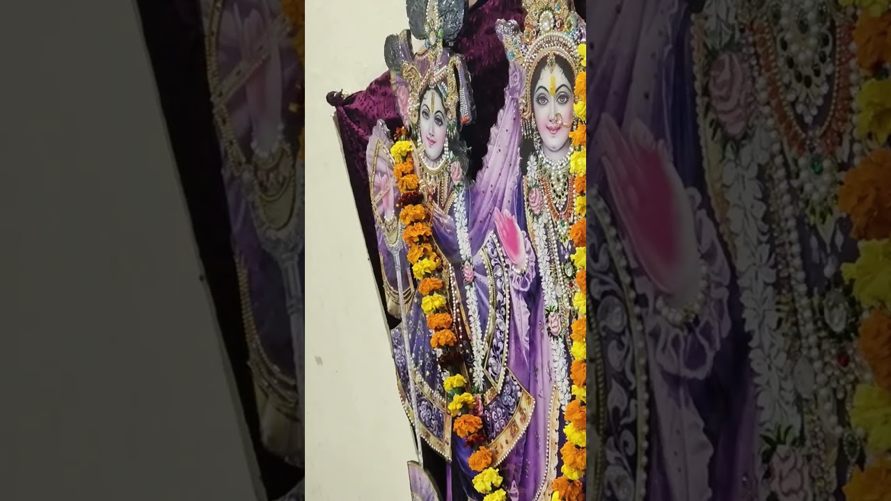 वर्ष 2026 में प्रवेश पर हरि नाम संकीर्तन करते हुए श्री कृष्ण कृपा जीओ गीता परिवार सफीदों के सदस्य।