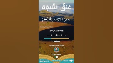 تلاوة تفوق الخيال من الشيخ وليد مهساس حفظه الله  صاحب فيديو القطة المشهور