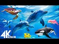 11 HOURS Stunning 4K Underwater footage + Music | Nature Relaxation™ Rare &amp; Colorful Sea Life Video