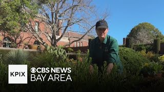 Heat wave challenging groundskeepers at Fioli Garden in Woodside