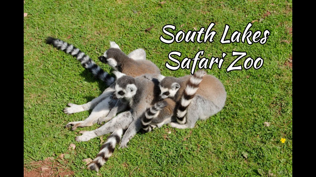 South Lakes Safari Zoo Map
