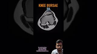 Short video on knee bursae on MRI #msk #radiology #anatomy #foamrad