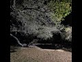 TEXAS THUNDER STORM WITH LIGHTNING ASMR