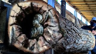 The discovery of a severed piece of baby animal shocked the woodworkers at sawmill screenshot 5