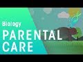 Parental Care | Ecology and Environment | Biology | FuseSchool Mp3 Song