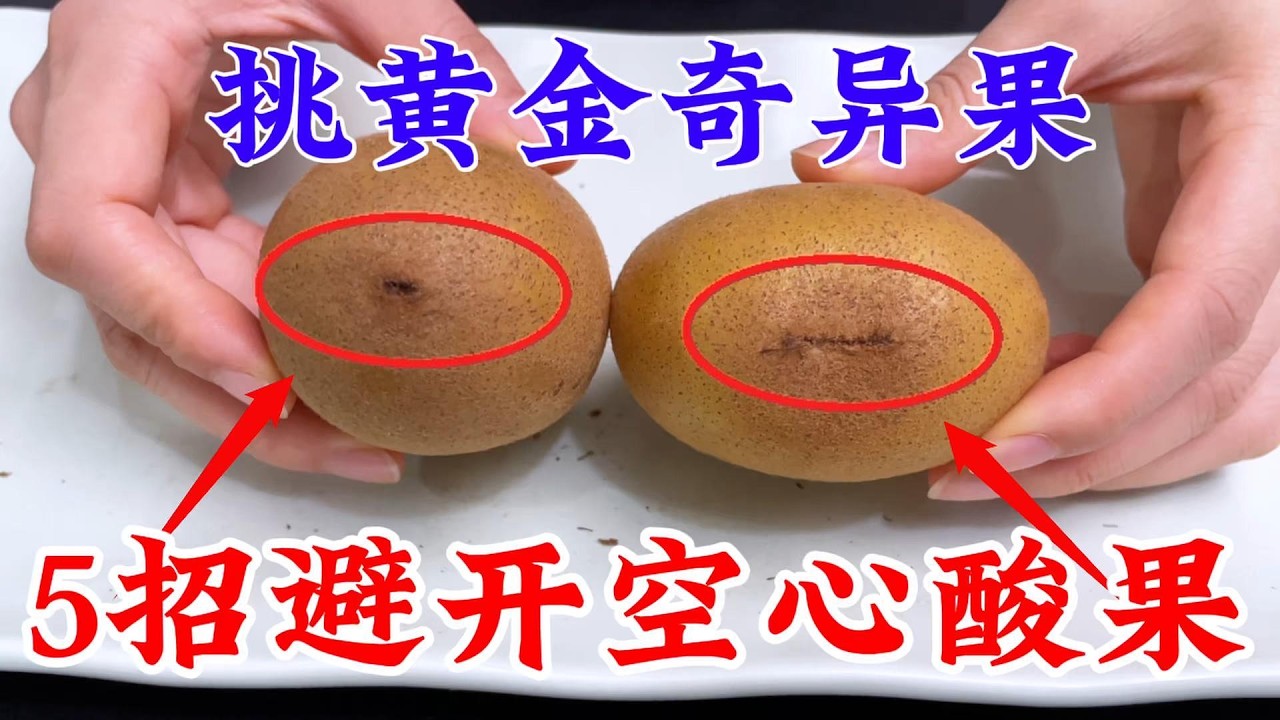 摘果桃12kg（1kg4〜6） YouTube