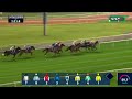 Race #8 – 20.02.26 – Nad Al Sheba Trophy Sponsored By Deepal G318 – Al Nayyir