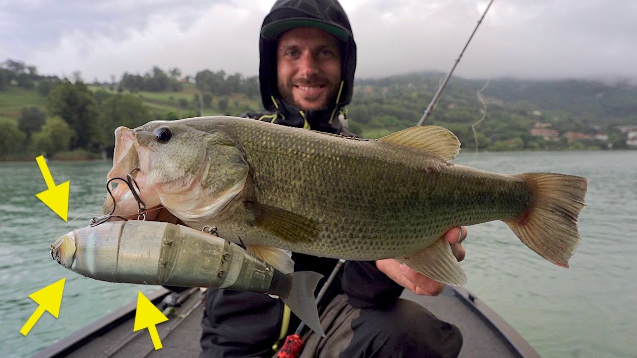 Le ESCHE GIGANTI funzionano nelle Nostre Acque??? Giant Swimbait for Bass Fishing