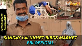 Sunday Lalukhet Birds Market Latest Updates Sunday Video | Urdu\/Hindi | PBI Official