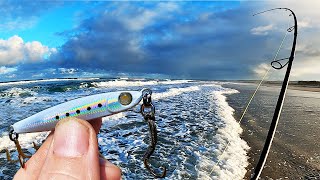 Shore Jigging beach gutters (catch & Clean)