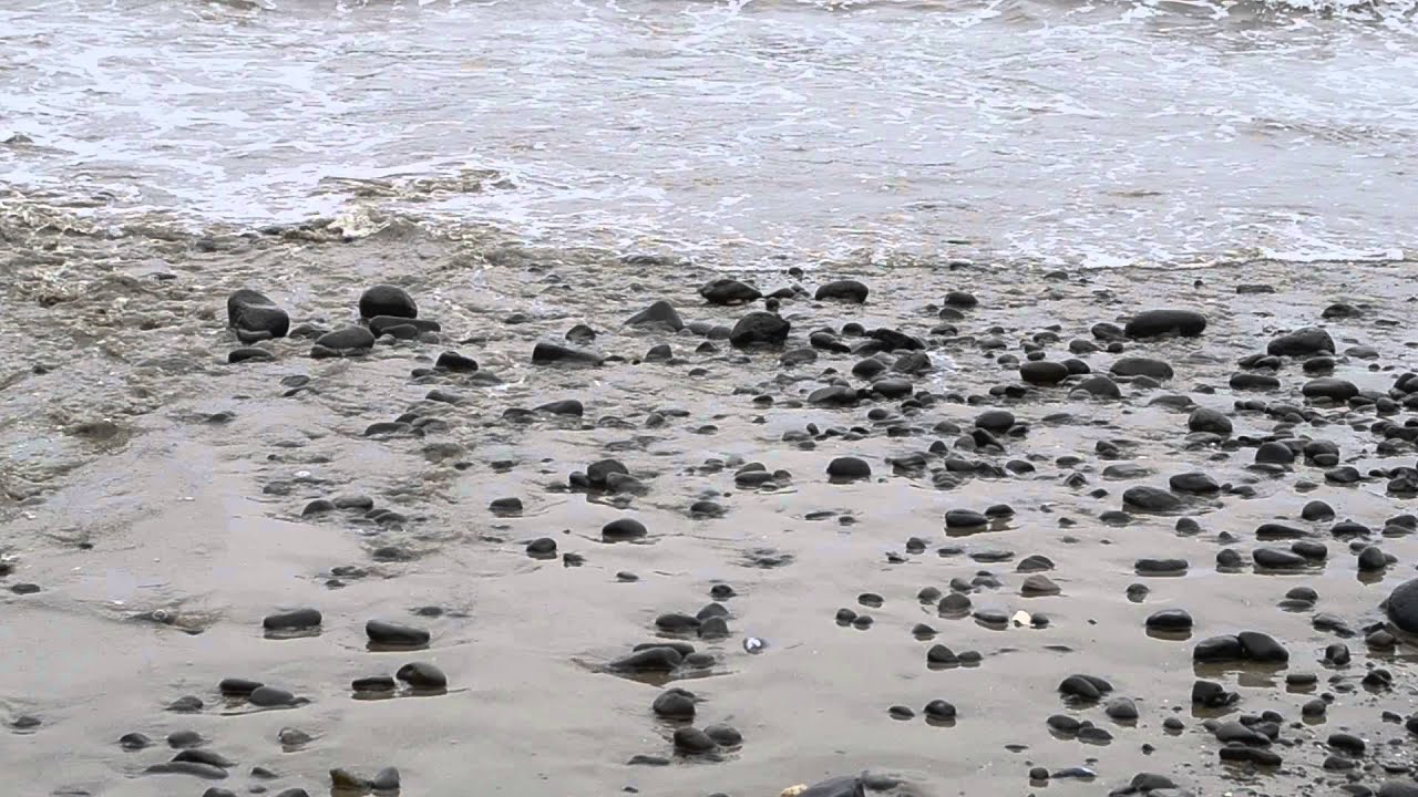 Ocean Sound Spring Layer Pacific Ocean sounds : in the spring - YouTube