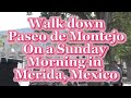 Walking Down Paseo de Montejo On A Sunday Morning in Merida, Mexico