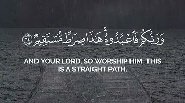 فاختلف الأحزاب من بينهم || بدر البشر من سورة الزخرف #قرآن