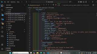I Built an OSINT Tool Hackers Use To Gather Information About Any Website (PhantomRecon)