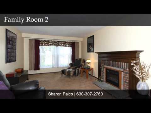 1317 Colwyn Drive, Schaumburg, IL home video tour