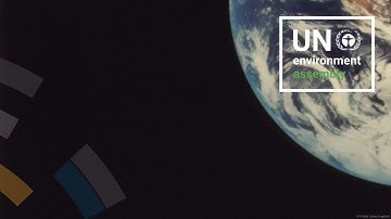 The Road to COP17 - The Official Unveiling of the UN 2026 Biodiversity Conference Logo and Slogan