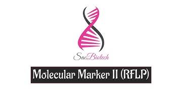 Molecular Marker II (RFLP)
