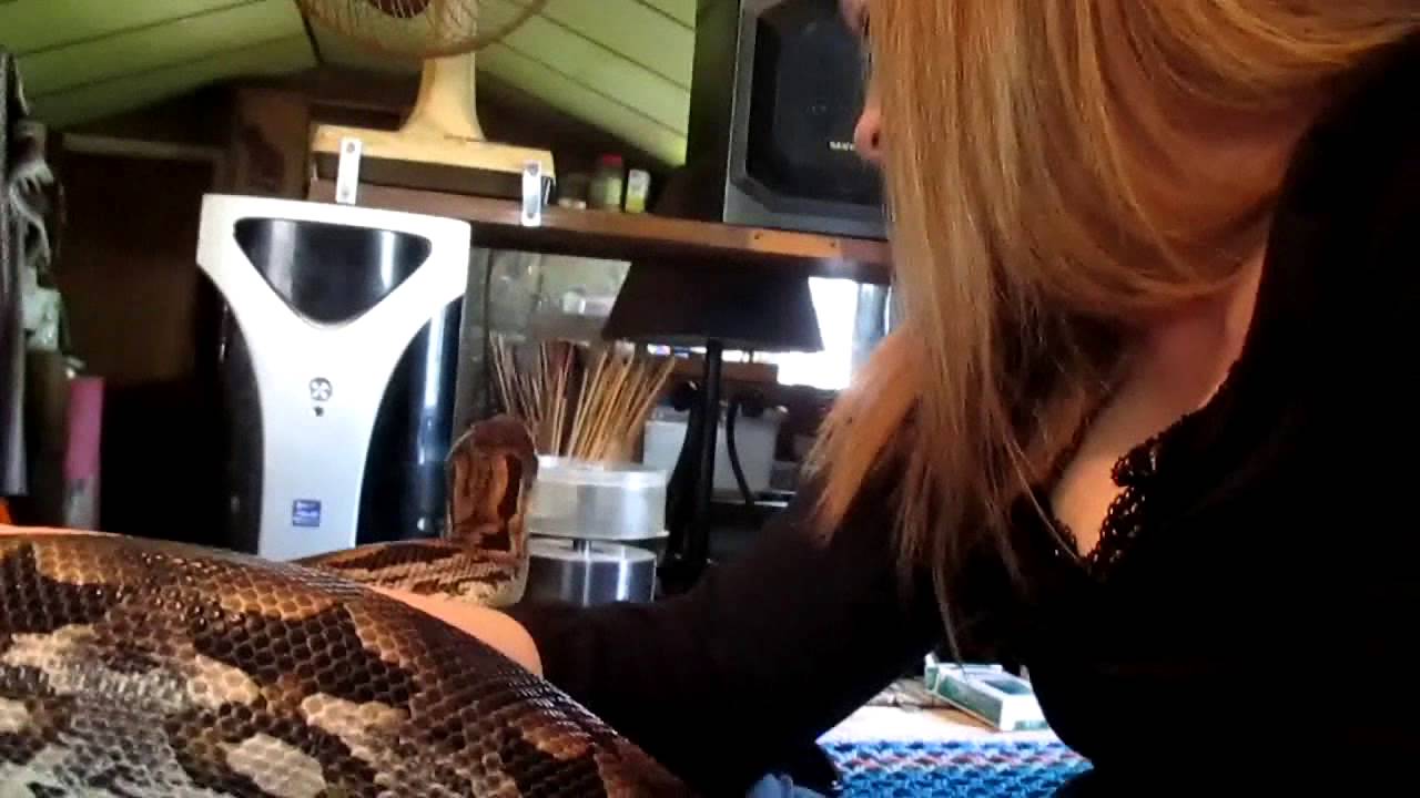 boardgamegeek Big Snakes Are Easy