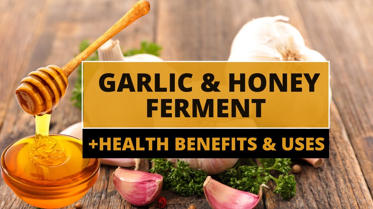 GARLIC AND HONEY FERMENT + HEALTH BENEFITS & USES (Immune System