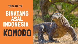 Tematik TK : Binatang asal Indonesia - Komodo