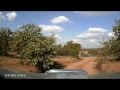 Dashcam through northern kruger