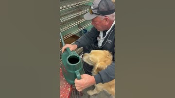 Germination chamber fried again…