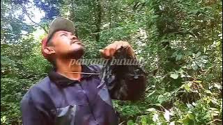 MIKAT BURUNG‼️ srigunting penyelamat burung kecil