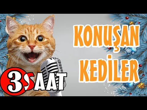 Konuşan Kediler 3 Saat - Sinema Tadında Komik Kedi Videoları