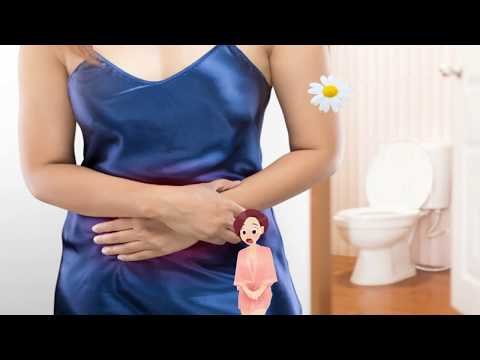 Video: Infeksioni Bakterial Urinar Në Minjtë