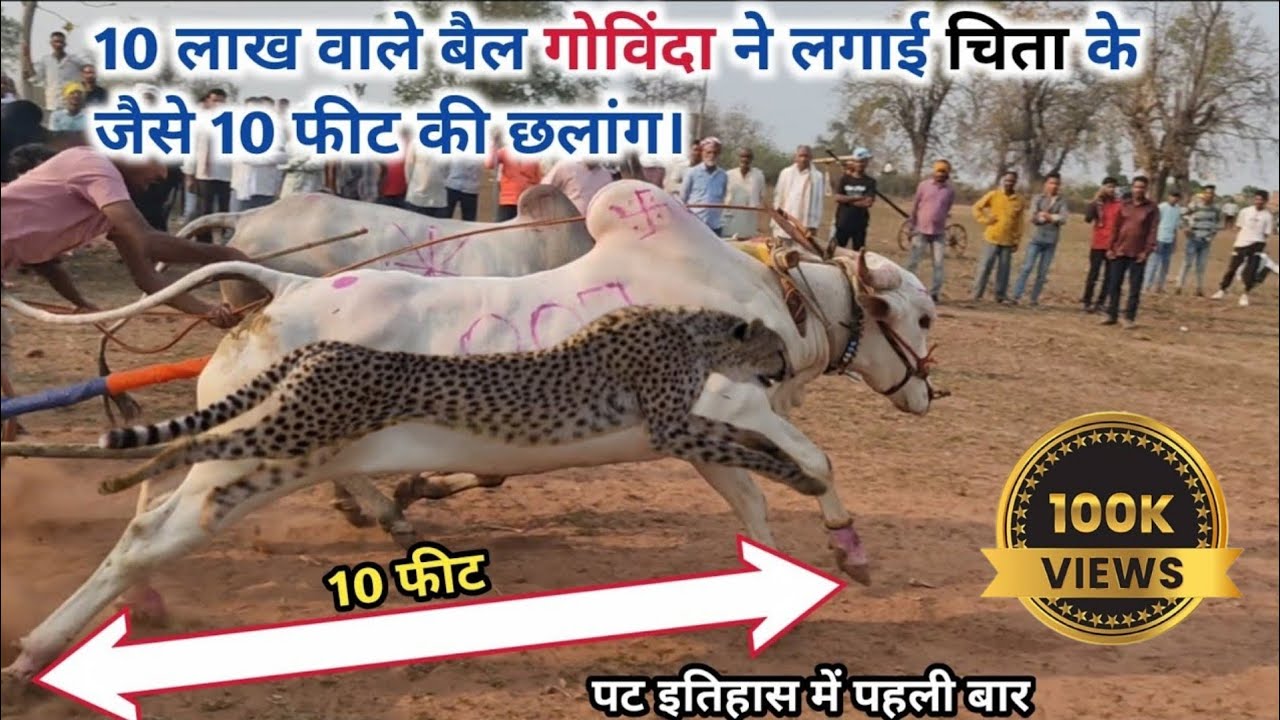 सुभ्या आणि गोविंदा दादा रामप्रसाद राठौर जी की जोड़।