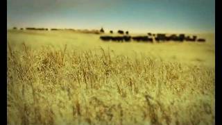 Teaser TVC 2