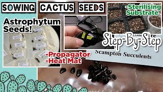 Sowing Astrophytum Cactus Seeds | Includes Method, Soil Mix, Propagator, Heat Mat