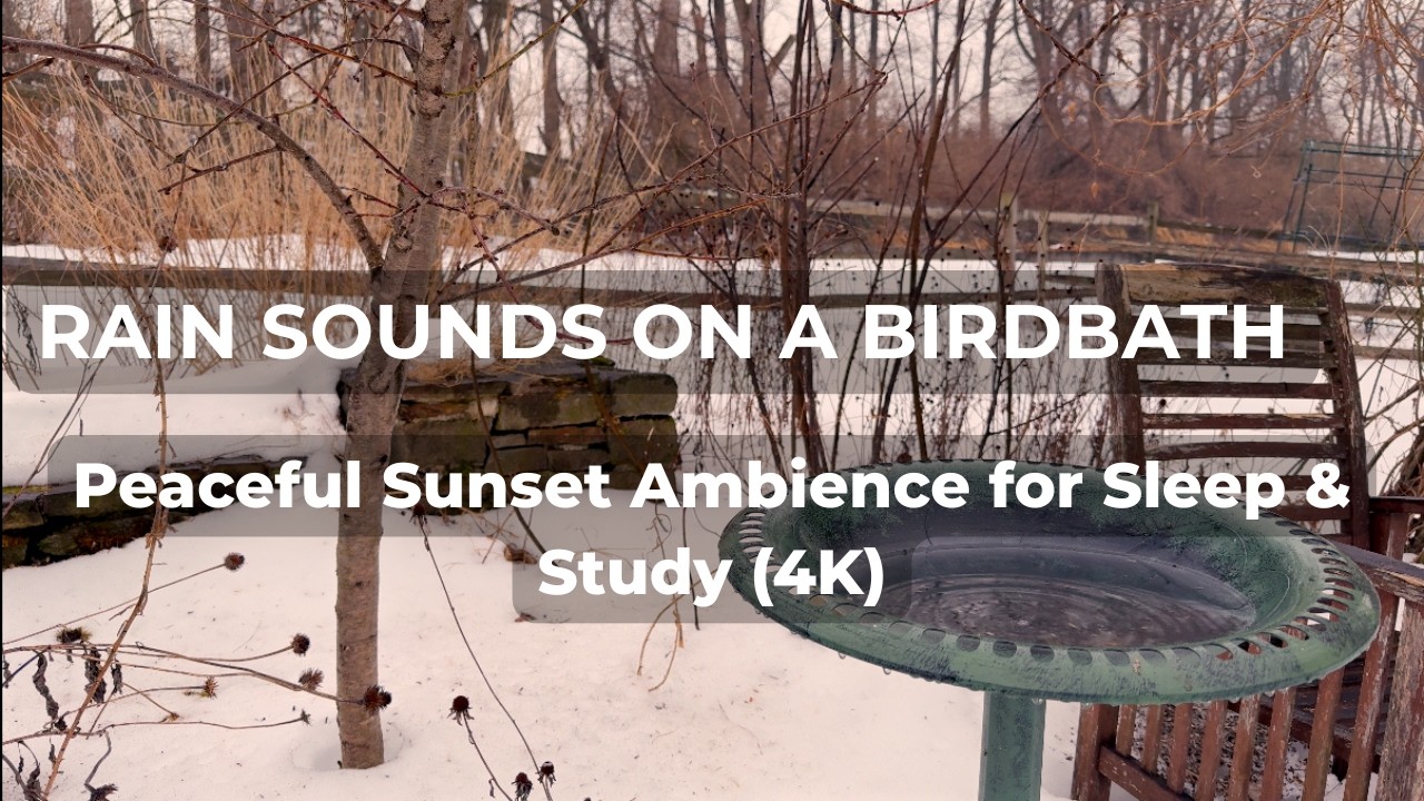 40 Minutes of Calming Rainfall | Evening Ambience for Better Sleep 🌅