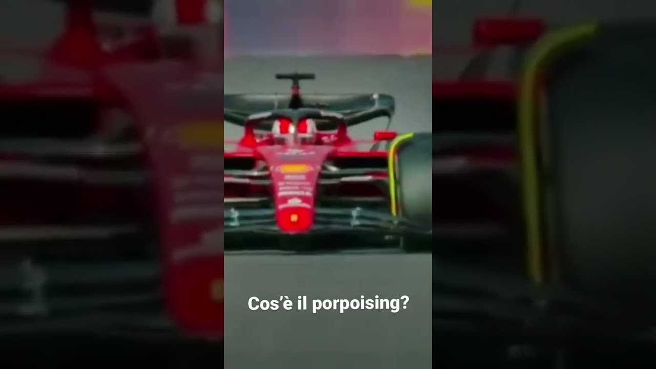 Cos'è il porposing