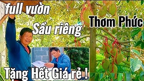 Tặng Full Vườn Sầu Riêng Chuẩn Bị Vào Mùa  Thu Hoạch / Gần 5,5 Sào 2 mặt tiền Nhà C4 Vườn Cây Trái