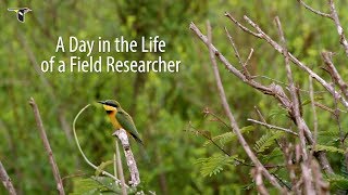 A Day in the Life of a Field Researcher