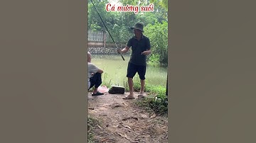 #shorts Cá Mương Suối #youtubeshorts