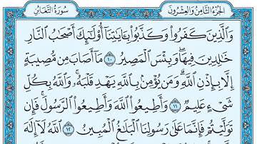 سورة التغابن / فضيلة الشيخ صلاح البدير