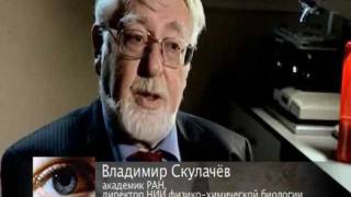 Третий глаз. Загадки зрения 4/4 Третий глаз. Загадки зрения 4/4