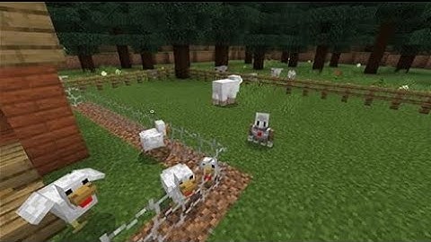 Gray Wolves, Minecraft education edition