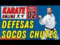 Karate online  aula 02  aprenda socos  chutes  defesas
