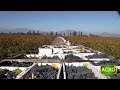 Chile: Concha y Toro, el vino en una de las principales bodegas del mundo (#796 2018-11-03)