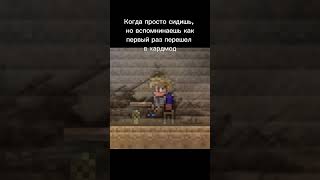 тэги продвигают видео? #memes #meme #terraria #mem #stul #stol #petl'a_s_taburetkoi #dom