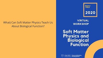 (What) Can Soft Matter Physics Teach Us About Biological Function?
