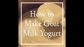 How to Make Goat Milk Yogurt